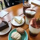 밀목애견 이미지