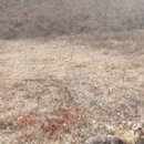 앙성초 영죽분교 이미지