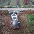 오차드 123 이미지