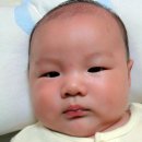 시우로2 이미지