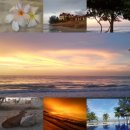 썬마켓 | [해외여행]코타키나발루 자유여행