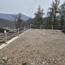 하늘과땅사이 | 가평 애견동반 펜션 추천 마운틴뷰 하늘과땅사이힐링스테이 후기