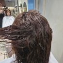 고불머리 | 미사미용실 후르 본점 단발 히피펌 빈티지펌 앞머리 후기