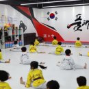 품태권도 이미지