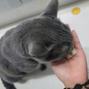 (주)그루비테이블 네이버블로그