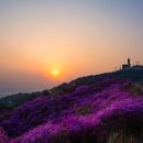 공설운동장 입구 1 이미지