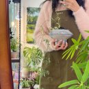 초록초록 가드닝 | 원주 식물가게 :: 원주 가드닝 클래스 전문 " 초록담음 " 솔직후기