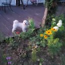 설악허브빌펜션 이미지