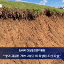 조선기와 이미지