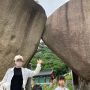 호원초등학교 | 🌸의정부 회룡사, 부처님오신날 행사 현장 스케치｜절밥은 놓쳤지만 마음은 풍성했던 하루