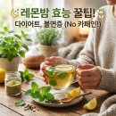 레몬밤 | 레몬밤 효능 카페인 체중 불면증 도움이 될까