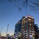 성이바이오(주)서울지점 | 대전지방분해주사 전문 다이어트병원 1주차 팔뚝 전격비교 후기!