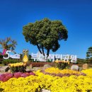 부산시설공단부산시민공원 | 부산시민공원 제대로 즐기기!!!!볼거리, 놀거리 가득해요~♡