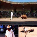 세경약국 이미지