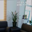 원통스크린 이미지