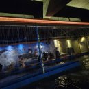 죠스실내낚시터 이미지