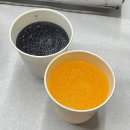 고흥집 | 전남 고흥 맛집 추천 도화면 가성비 좋은 현지인 백반집 점심 후기 신백송