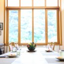 손여사네 이미지