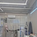 뽀송하댕 이미지