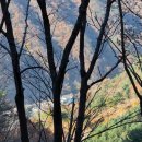우남사 이미지