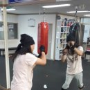 존슨 복싱 클럽 이미지
