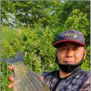 송산유원지 이미지