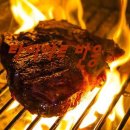 마이야르 이미지