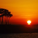 누리마루 이미지