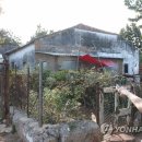 배정권농장 연합뉴스
