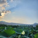 아우라(aura) 이미지