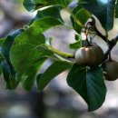 뱃고동 민박 이미지