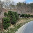 THE오름공인중개사사무소 이미지