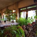 츄로츄러스 이미지