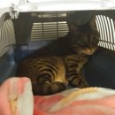 호텔 별 이미지