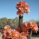 산하어린이집 이미지