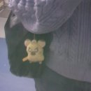 새생명 약국 | 타임어택.‎˖٭*서울 나들이👀🌟