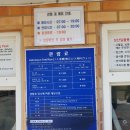 호진상회 - 동구 선화로192번길 63 | 마지막 날, 명진전복 + 구좌상회 + 성산일출봉 + 망고레이