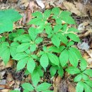 응달농장 이미지