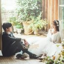 오리지날스튜디오