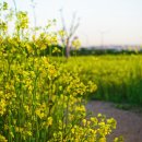 계양경기장-서운체육공원 이미지