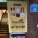 DOGZONE 네이버블로그