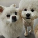 레츠개릿 이미지