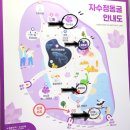 푸른나라미디어 | 울산 자수정 동굴나라 스탬프 투어 자수정 원석 득템 후기!