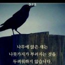 화