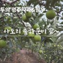 인우농장 이미지