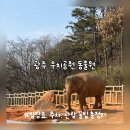 우치공원 | 전남 광주 가볼만한곳 BEST 우치공원 동물원 | 동물원 후기 방문 꿀팁