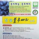 탑골농장 이미지