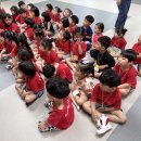 ✋🏻멈추고👀보고🚶건너요! 교통안전교육🚘 이미지