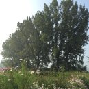 초정목장 이미지