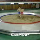 문경 씨름장 이미지